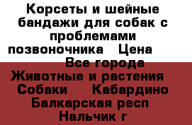 Корсеты и шейные бандажи для собак с проблемами позвоночника › Цена ­ 2 500 - Все города Животные и растения » Собаки   . Кабардино-Балкарская респ.,Нальчик г.